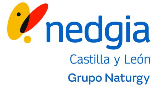 NEDGIA Castela e León leva o gas natural a Santa María del Páramo (León)